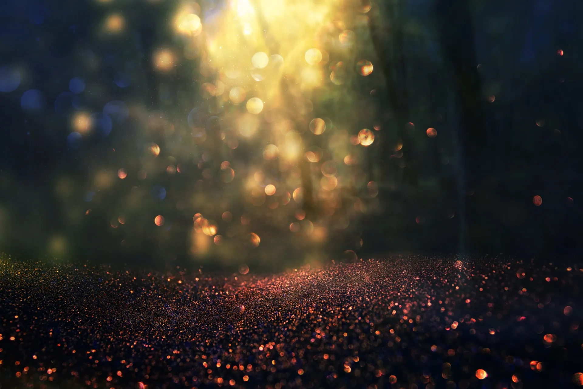 blurred abstract photo of light burst among trees and glitter golden bokeh lights
